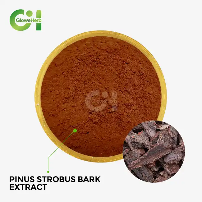 Pinus Strobus Bark Extract